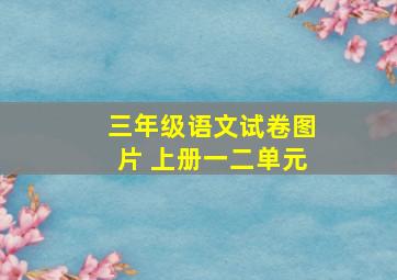 三年级语文试卷图片 上册一二单元